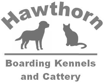 Chartis hot sale boarding kennels